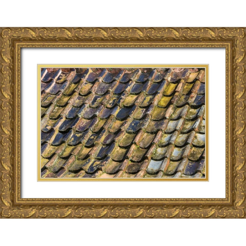 SC, Charleston Roof tiles on Plantation building Gold Ornate Wood Framed Art Print with Double Matting by Paulson, Don