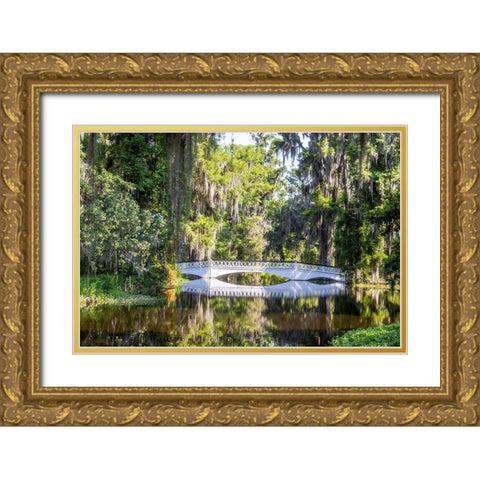 USA- South Carolina- Charleston. Magnolia Plantation Gold Ornate Wood Framed Art Print with Double Matting by Looney, Hollice