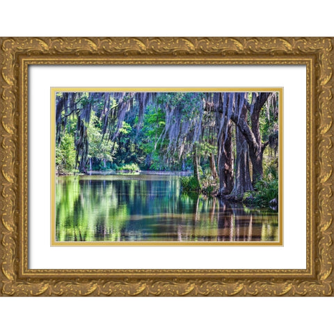 USA- South Carolina- Charleston. Magnolia Plantation Gold Ornate Wood Framed Art Print with Double Matting by Looney, Hollice