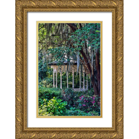 USA- South Carolina- Charleston. Magnolia Plantation Gold Ornate Wood Framed Art Print with Double Matting by Looney, Hollice