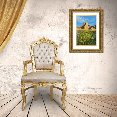 Badlands National Park-South Dakota Gold Ornate Wood Framed Art Print with Double Matting by Majchrowicz, Alan