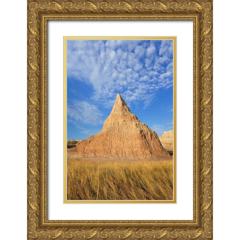 Badlands formations and mixed grass prairie grasses Badlands National Park-South Dakota Gold Ornate Wood Framed Art Print with Double Matting by Majchrowicz, Alan
