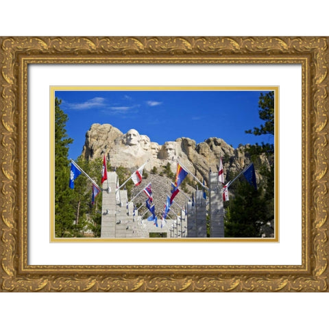 SD, Mount Rushmore framed by Grand View Terrace Gold Ornate Wood Framed Art Print with Double Matting by Lord, Fred