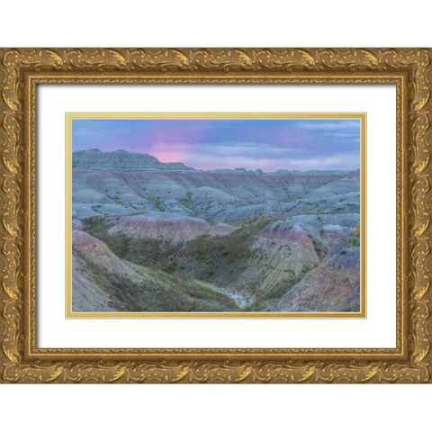 South Dakota, Badlands NP Wilderness landscape Gold Ornate Wood Framed Art Print with Double Matting by Illg, Cathy and Gordon