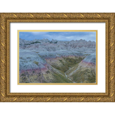 South Dakota, Badlands NP Wilderness landscape Gold Ornate Wood Framed Art Print with Double Matting by Illg, Cathy and Gordon