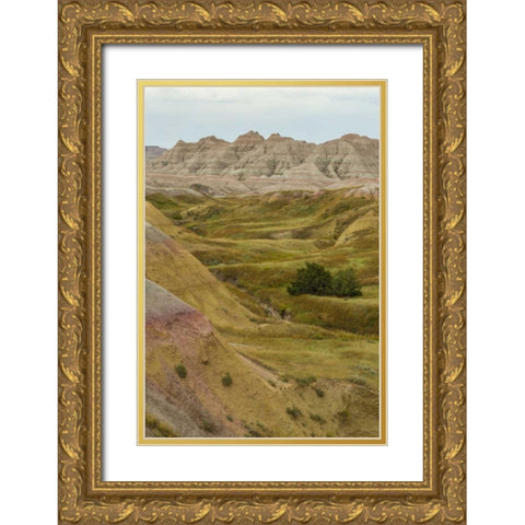 South Dakota, Badlands NP Wilderness landscape Gold Ornate Wood Framed Art Print with Double Matting by Illg, Cathy and Gordon