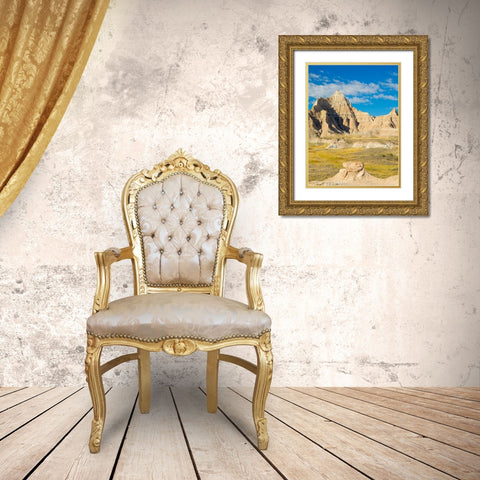 South Dakota- Badlands National Park. Badlands rock formations Gold Ornate Wood Framed Art Print with Double Matting by Wild, Jamie and Judy