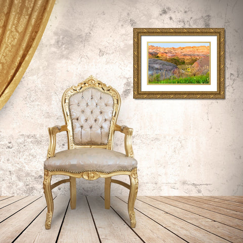 A painterly image of softer hoodoos set against a row of wildflowers and grass Gold Ornate Wood Framed Art Print with Double Matting by Haddad, Sheila