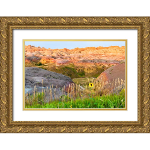 A painterly image of softer hoodoos set against a row of wildflowers and grass Gold Ornate Wood Framed Art Print with Double Matting by Haddad, Sheila