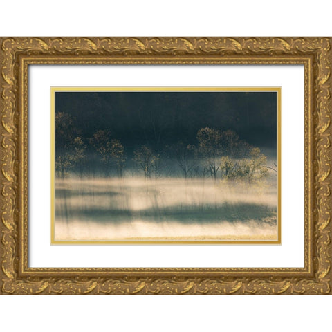 Foggy meadow at sunrise-Cades Cove-Smoky Mountains National Park-Tennessee Gold Ornate Wood Framed Art Print with Double Matting by Jones, Adam