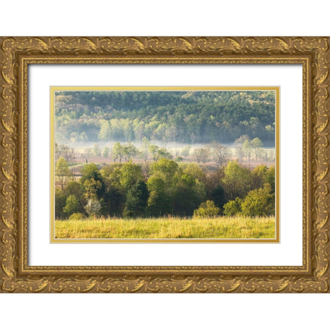 Foggy meadow at sunrise-Cades Cove-Smoky Mountains National Park-Tennessee Gold Ornate Wood Framed Art Print with Double Matting by Jones, Adam