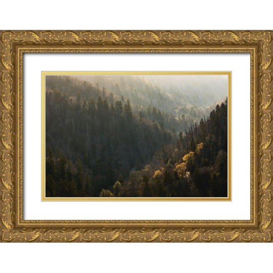 Perspective Image