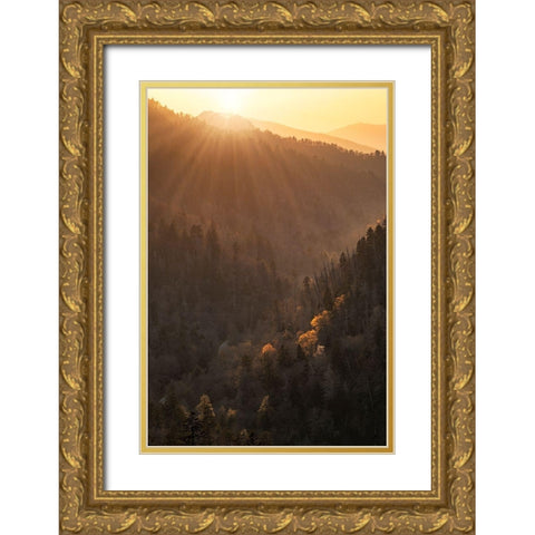 Spring sunset from Morton Overlook-Great Smoky Mountains National Park-Tennessee Gold Ornate Wood Framed Art Print with Double Matting by Jones, Adam