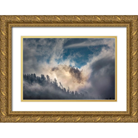 Mist and sunlight in the mountains-Great Smoky Mountain National Park-Tennessee Gold Ornate Wood Framed Art Print with Double Matting by Jones, Adam