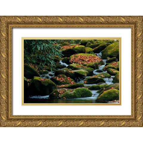 Water Falling over Boulders on Roaring Fork Motor Nature Trail Gold Ornate Wood Framed Art Print with Double Matting by Miller, Anna