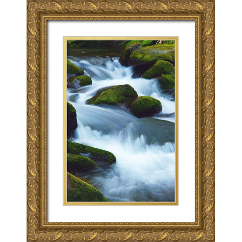 Water Falling over Boulders on Roaring Fork Motor Nature Trail Gold Ornate Wood Framed Art Print with Double Matting by Miller, Anna