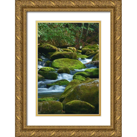 Water Falling over Boulders on Roaring Fork Motor Nature Trail Gold Ornate Wood Framed Art Print with Double Matting by Miller, Anna