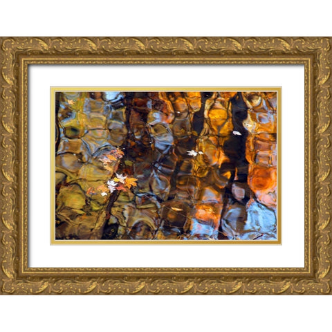 Reflections in Smoky Mountain Creek-Tennessee-USA Gold Ornate Wood Framed Art Print with Double Matting by Miller, Anna