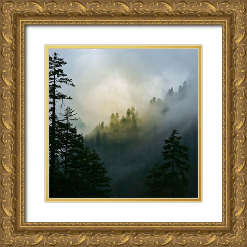 Mountain Clouds at Newfound Gap-Smoky Mountains National Park-Tennessee-USA Gold Ornate Wood Framed Art Print with Double Matting by Miller, Anna