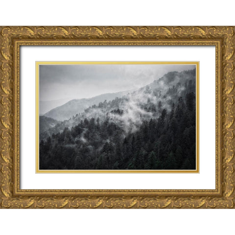 Mountain Clouds at Newfound Gap-Smoky Mountains National Park-Tennessee-USA Gold Ornate Wood Framed Art Print with Double Matting by Miller, Anna
