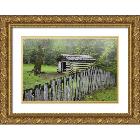 TN, Great Smoky Mts Fence and abandoned cabin Gold Ornate Wood Framed Art Print with Double Matting by Flaherty, Dennis