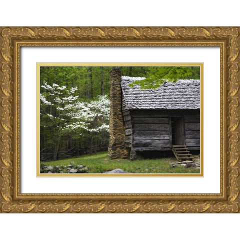 TN, Great Smoky Mts Log cabin and blooming trees Gold Ornate Wood Framed Art Print with Double Matting by Flaherty, Dennis