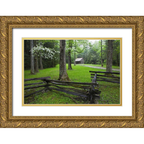 TN, Great Smoky Mts Fence and abandoned cabin Gold Ornate Wood Framed Art Print with Double Matting by Flaherty, Dennis
