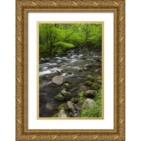 TN, Great Smoky Mts Mountain stream and trees Gold Ornate Wood Framed Art Print with Double Matting by Flaherty, Dennis