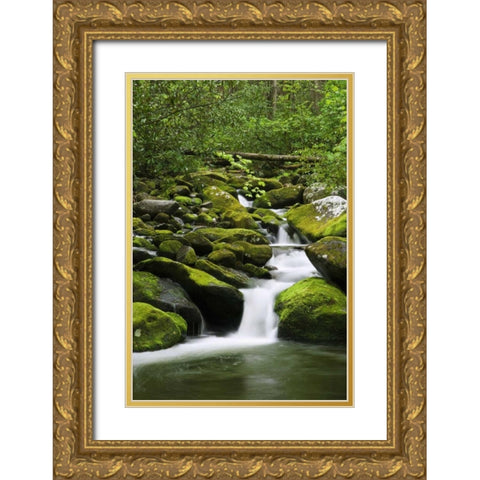 TN, Great Smoky Mts Stream cascades under bridge Gold Ornate Wood Framed Art Print with Double Matting by Flaherty, Dennis