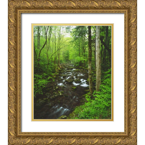 Tennessee, Stream in The Great Smoky Mts Gold Ornate Wood Framed Art Print with Double Matting by Talbot Frank, Christopher