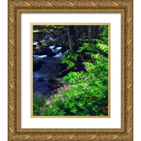 TN, flowers along a stream in The Great Smoky Mts Gold Ornate Wood Framed Art Print with Double Matting by Talbot Frank, Christopher