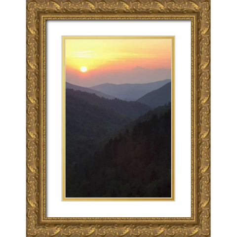 Tennessee, Great Smoky Mts Morton Overlook Gold Ornate Wood Framed Art Print with Double Matting by Flaherty, Dennis