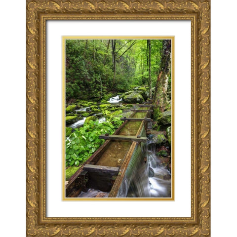 TN, Great Smoky Mts View of the Tub Mill flume Gold Ornate Wood Framed Art Print with Double Matting by Flaherty, Dennis