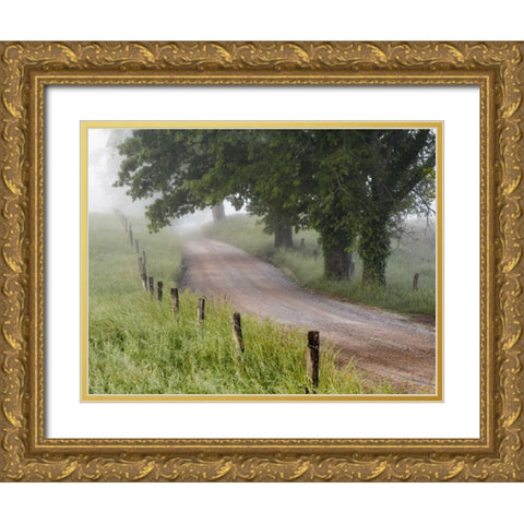Tennessee, Great Smoky Mts A road in Cades Cove Gold Ornate Wood Framed Art Print with Double Matting by Flaherty, Dennis