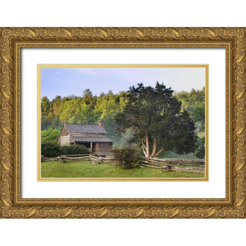 TN, Great Smoky Mts Pioneer cabin in Cades Cove Gold Ornate Wood Framed Art Print with Double Matting by Flaherty, Dennis