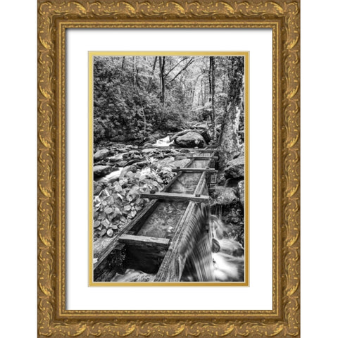 TN, Great Smoky Mts Wooden spillway Gold Ornate Wood Framed Art Print with Double Matting by Flaherty, Dennis