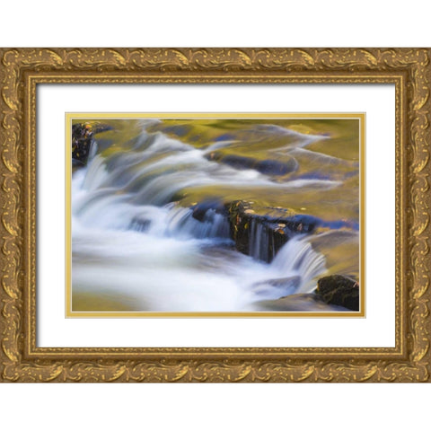 TN, Cherokee NF Reflections on North River Gold Ornate Wood Framed Art Print with Double Matting by Paulson, Don