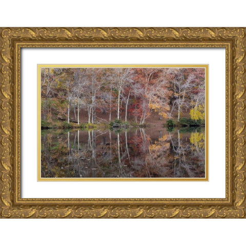 TN, Cumberland Mountain SP Byrd Lake, Tennessee Gold Ornate Wood Framed Art Print with Double Matting by Paulson, Don