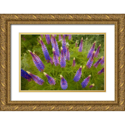 Tennessee Painterly effect on lupine flowers Gold Ornate Wood Framed Art Print with Double Matting by Zuckerman, Jim