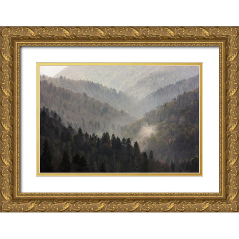 TN, Great Smoky Mts Mist rises in a valley Gold Ornate Wood Framed Art Print with Double Matting by Grall, Don