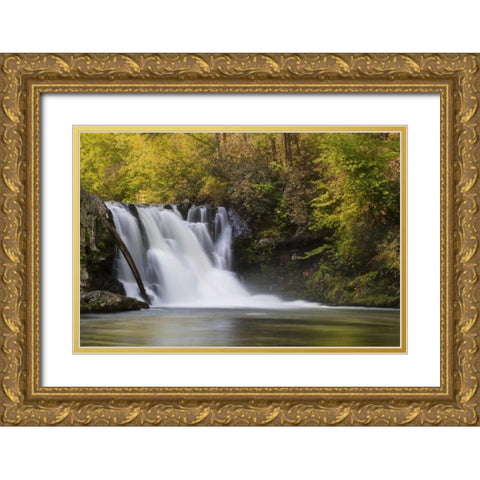 Tennessee, Great Smoky Mts Abrams Falls Gold Ornate Wood Framed Art Print with Double Matting by Grall, Don