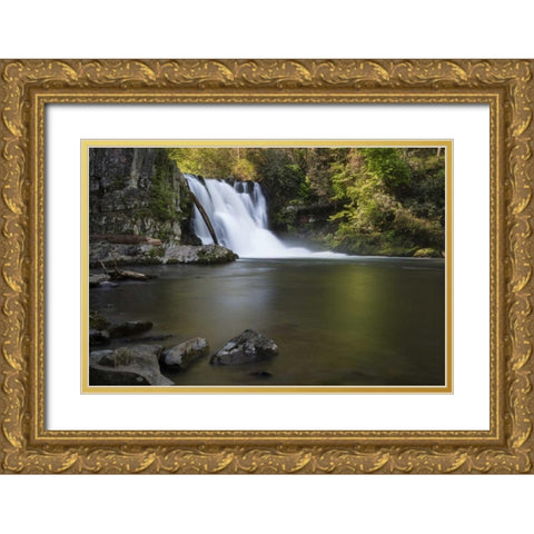 Tennessee, Great Smoky Mts Abrams Falls Gold Ornate Wood Framed Art Print with Double Matting by Grall, Don