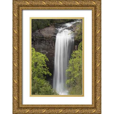 TN, Foster Falls Wild Area Waterfall scenic Gold Ornate Wood Framed Art Print with Double Matting by Grall, Don