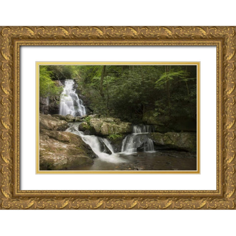 TN, Great Smoky Mts Indian Flats Falls landscape Gold Ornate Wood Framed Art Print with Double Matting by Grall, Don