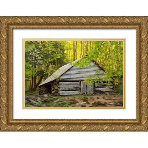 Tennessee Old barn at Bud Ogle cabin along Roaring Fork Nature Trail Gold Ornate Wood Framed Art Print with Double Matting by Wells, Joanne