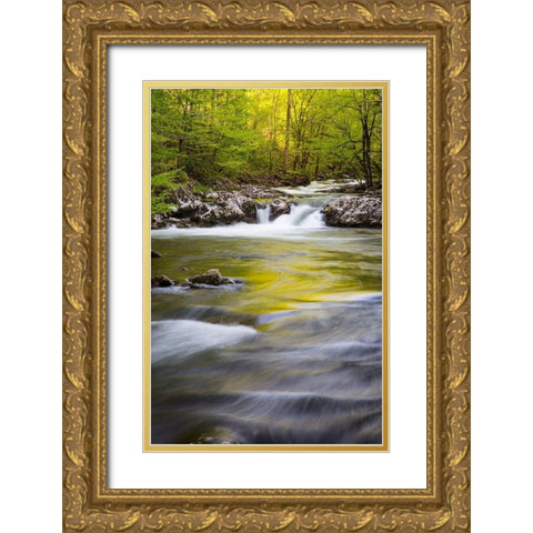 Tennessee Sparks Lane in the spring at Cades Cove Gold Ornate Wood Framed Art Print with Double Matting by Wells, Joanne