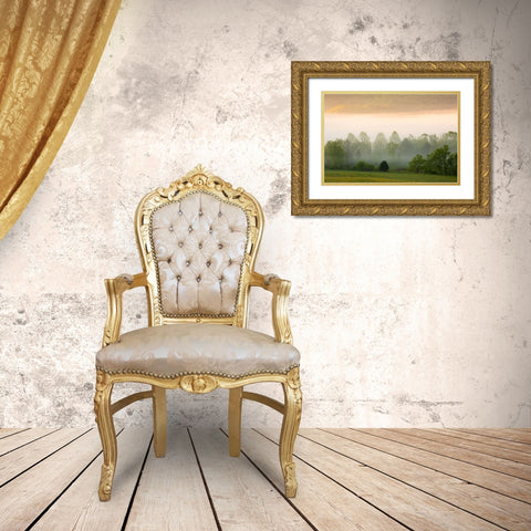 Tennessee Early morning fog in Cades Cove Gold Ornate Wood Framed Art Print with Double Matting by Wells, Joanne