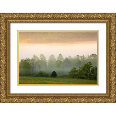 Tennessee Early morning fog in Cades Cove Gold Ornate Wood Framed Art Print with Double Matting by Wells, Joanne