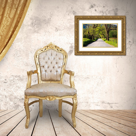 Tennessee-Sparks Lane in the spring at Cades Cove Gold Ornate Wood Framed Art Print with Double Matting by Wells, Joanne