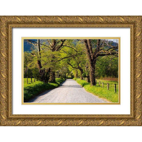 Tennessee-Sparks Lane in the spring at Cades Cove Gold Ornate Wood Framed Art Print with Double Matting by Wells, Joanne
